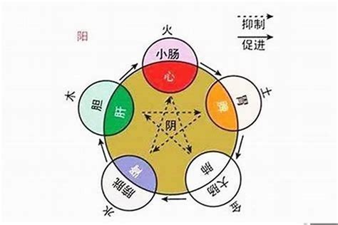 海中金女命|八字納音五行解析——海中金